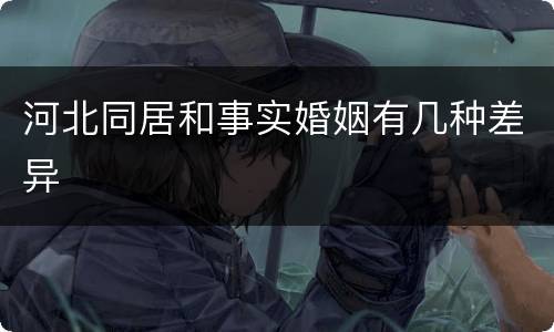 河北同居和事实婚姻有几种差异