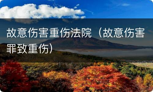 故意伤害重伤法院（故意伤害罪致重伤）