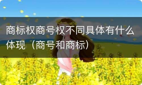 商标权商号权不同具体有什么体现（商号和商标）