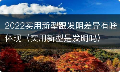 2022实用新型跟发明差异有啥体现（实用新型是发明吗）