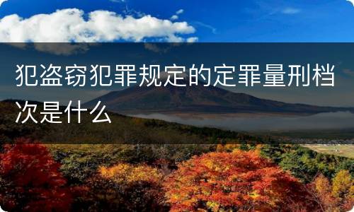 犯盗窃犯罪规定的定罪量刑档次是什么