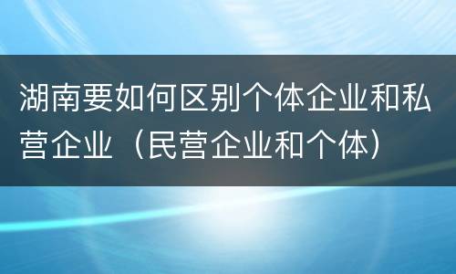 湖南要如何区别个体企业和私营企业（民营企业和个体）