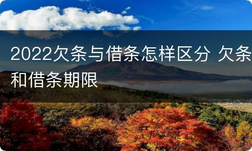 2022欠条与借条怎样区分 欠条和借条期限