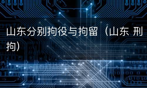山东分别拘役与拘留（山东 刑拘）