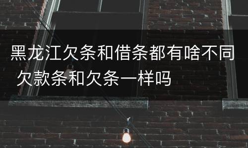 黑龙江欠条和借条都有啥不同 欠款条和欠条一样吗