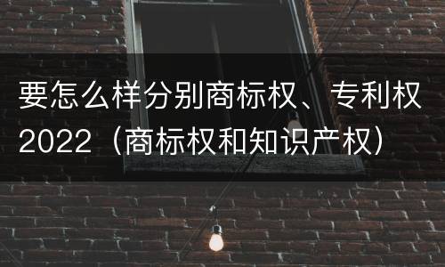 要怎么样分别商标权、专利权2022（商标权和知识产权）