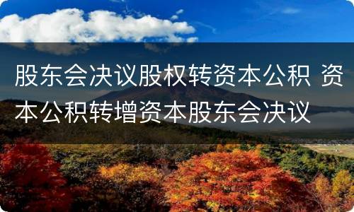 股东会决议股权转资本公积 资本公积转增资本股东会决议