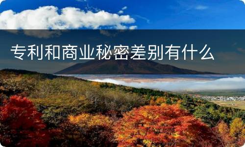 专利和商业秘密差别有什么