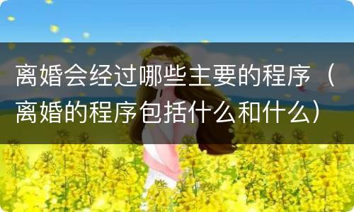 离婚会经过哪些主要的程序（离婚的程序包括什么和什么）