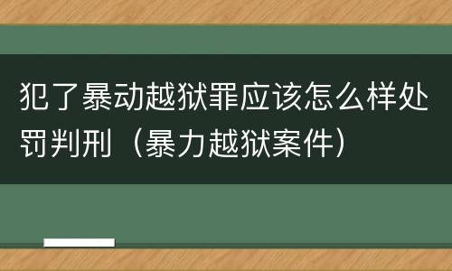 犯了暴动越狱罪应该怎么样处罚判刑（暴力越狱案件）