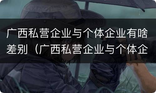广西私营企业与个体企业有啥差别（广西私营企业与个体企业有啥差别吗）