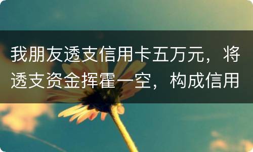 我朋友透支信用卡五万元，将透支资金挥霍一空，构成信用卡诈骗罪吗？会不会被判刑呢