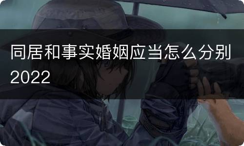 同居和事实婚姻应当怎么分别2022