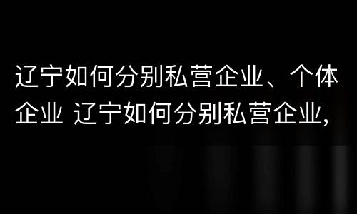 辽宁如何分别私营企业、个体企业 辽宁如何分别私营企业,个体企业,公司