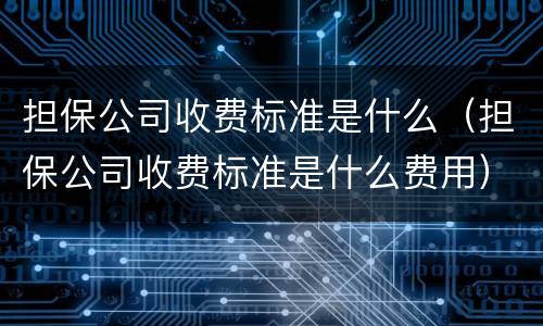 担保公司收费标准是什么（担保公司收费标准是什么费用）