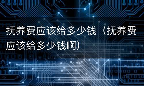 抚养费应该给多少钱（抚养费应该给多少钱啊）