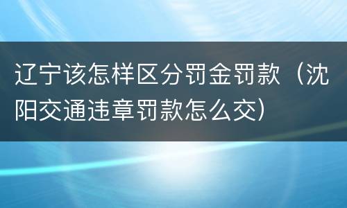 辽宁该怎样区分罚金罚款（沈阳交通违章罚款怎么交）
