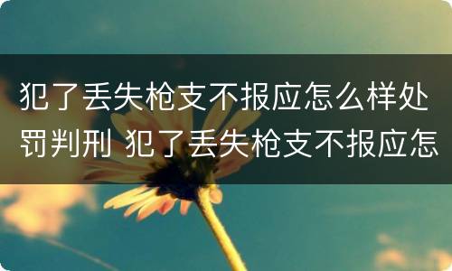 犯了丢失枪支不报应怎么样处罚判刑 犯了丢失枪支不报应怎么样处罚判刑多少年