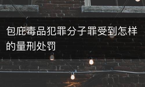 包庇毒品犯罪分子罪受到怎样的量刑处罚