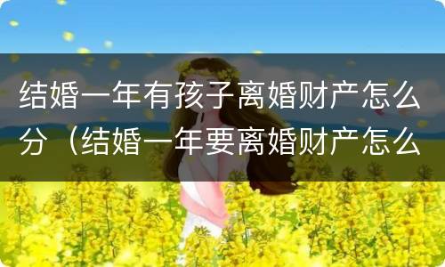 结婚一年有孩子离婚财产怎么分（结婚一年要离婚财产怎么分）