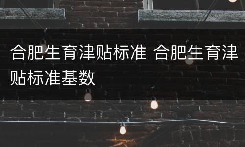 合肥生育津贴标准 合肥生育津贴标准基数