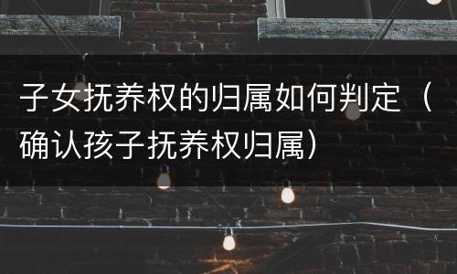 子女抚养权的归属如何判定（确认孩子抚养权归属）