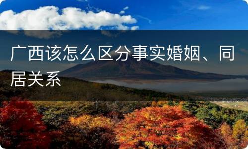 广西该怎么区分事实婚姻、同居关系