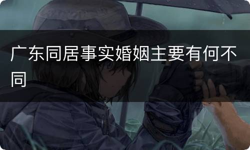 广东同居事实婚姻主要有何不同