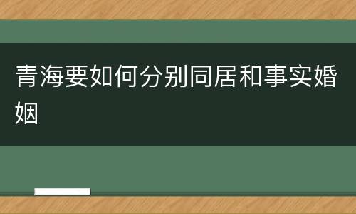 青海要如何分别同居和事实婚姻