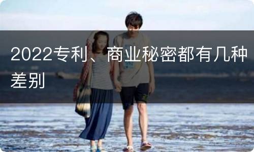 2022专利、商业秘密都有几种差别