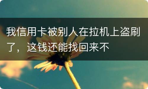 我信用卡被别人在拉机上盗刷了，这钱还能找回来不