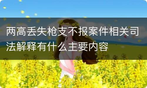 两高丢失枪支不报案件相关司法解释有什么主要内容