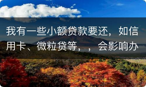 我有一些小额贷款要还，如信用卡、微粒贷等，，会影响办理房贷吗