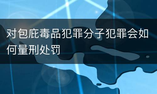 对包庇毒品犯罪分子犯罪会如何量刑处罚
