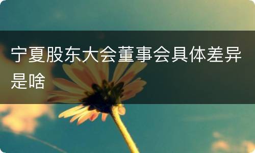 宁夏股东大会董事会具体差异是啥