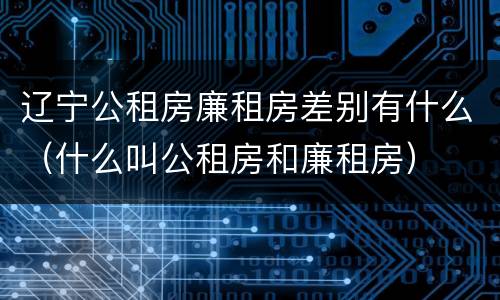 辽宁公租房廉租房差别有什么（什么叫公租房和廉租房）