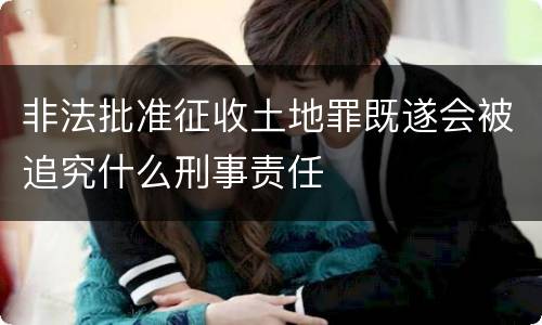非法批准征收土地罪既遂会被追究什么刑事责任