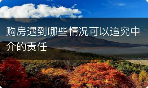 购房遇到哪些情况可以追究中介的责任