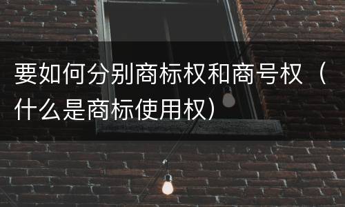 要如何分别商标权和商号权（什么是商标使用权）