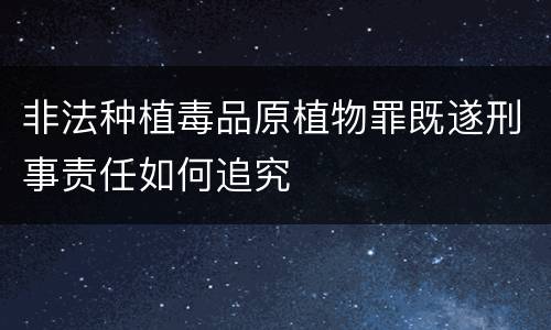非法种植毒品原植物罪既遂刑事责任如何追究