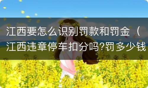 江西要怎么识别罚款和罚金（江西违章停车扣分吗?罚多少钱?）