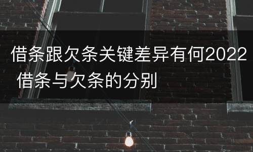 借条跟欠条关键差异有何2022 借条与欠条的分别