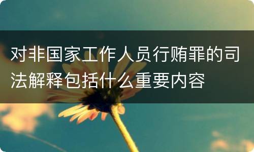 对非国家工作人员行贿罪的司法解释包括什么重要内容