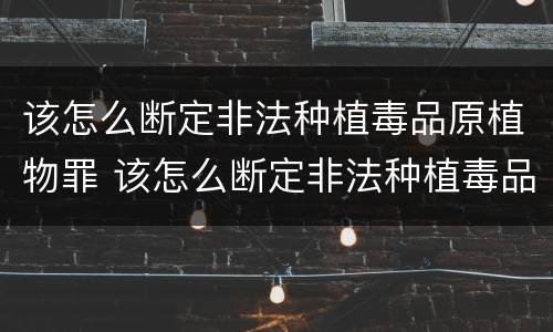 该怎么断定非法种植毒品原植物罪 该怎么断定非法种植毒品原植物罪行