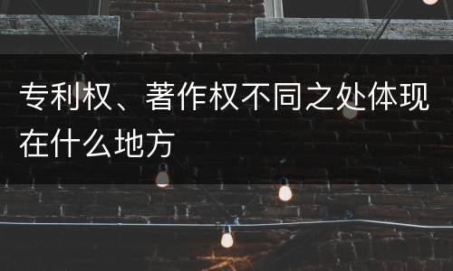 专利权、著作权不同之处体现在什么地方
