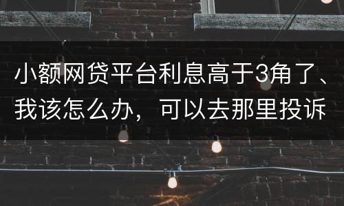 小额网贷平台利息高于3角了、我该怎么办，可以去那里投诉他们