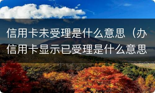 信用卡未受理是什么意思（办信用卡显示已受理是什么意思）