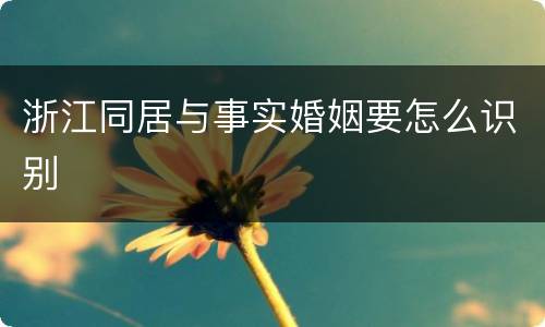 浙江同居与事实婚姻要怎么识别