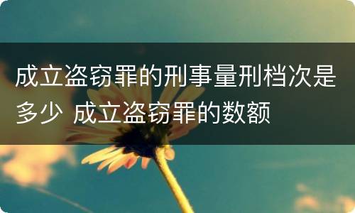 成立盗窃罪的刑事量刑档次是多少 成立盗窃罪的数额