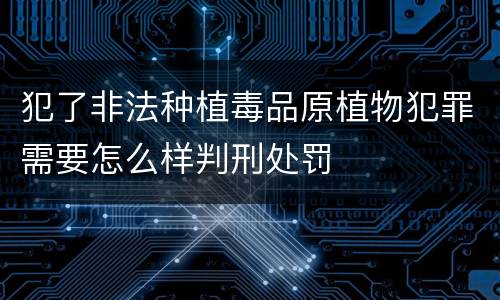 犯了非法种植毒品原植物犯罪需要怎么样判刑处罚